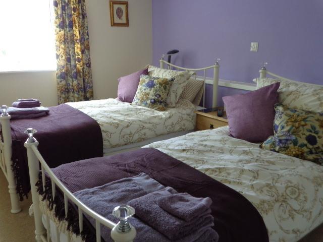 Lodge House B&B Buckland St Mary 객실 사진